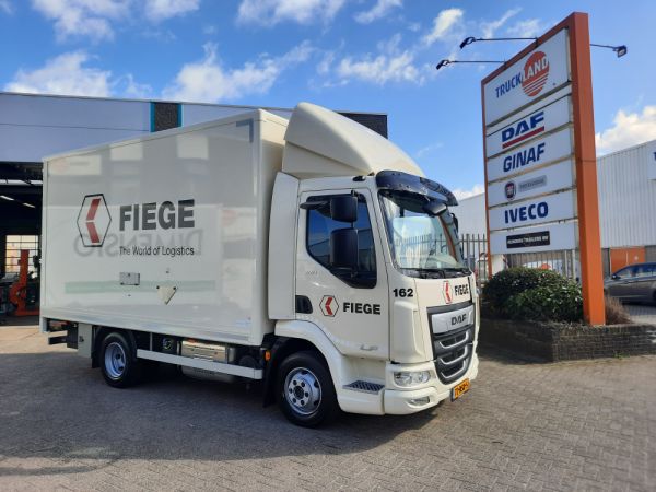 Fiege